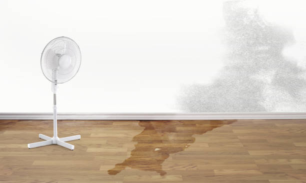 Best Flooded house restoration  in Ashley, PA