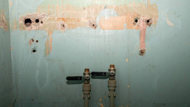 Best Carpet water damage restoration  in Ashley, PA